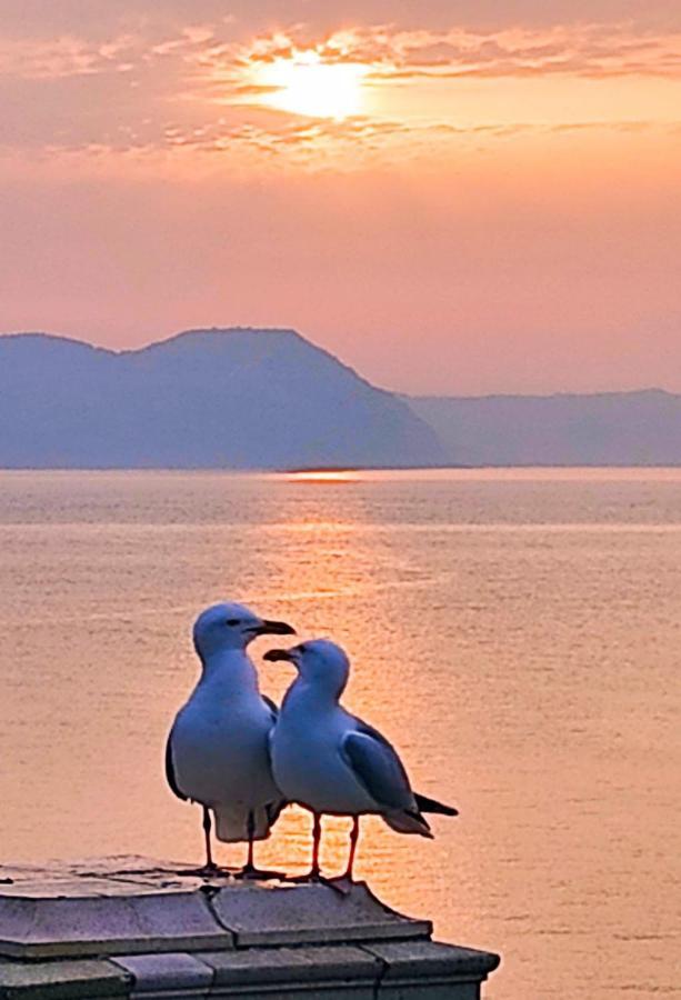 Seabreeze Apartment Lyme Regis Bagian luar foto