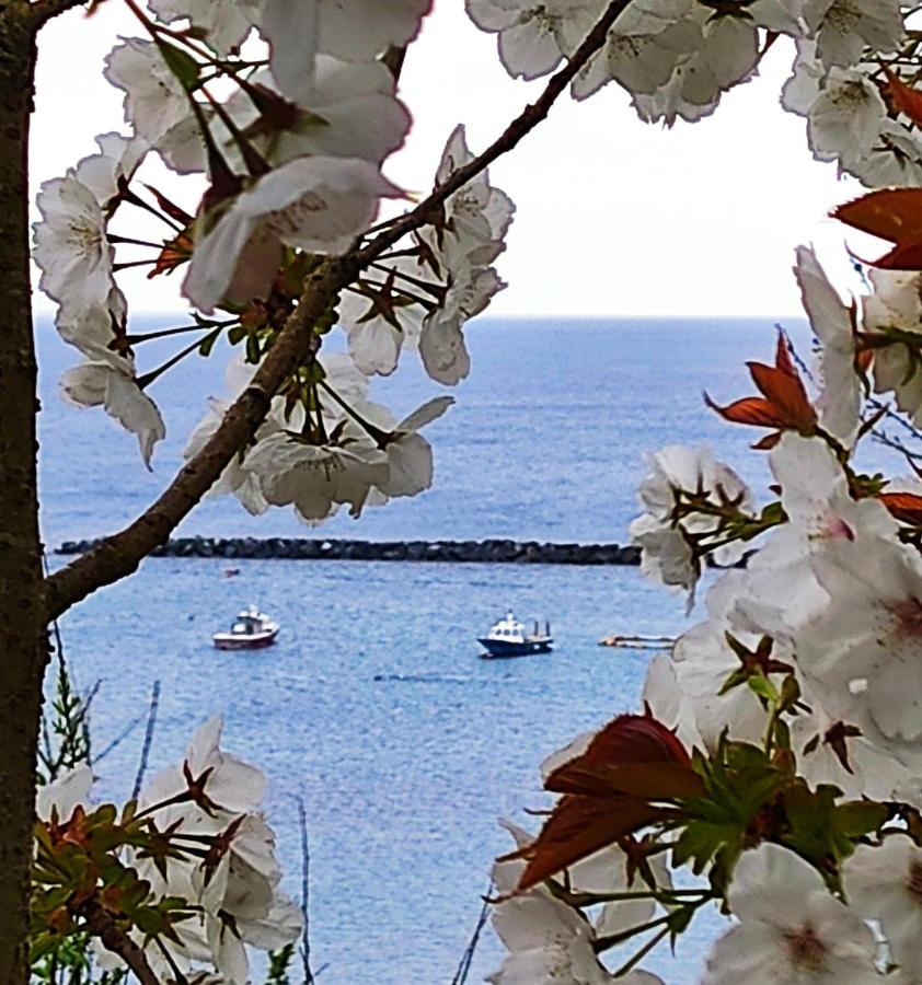 Seabreeze Apartment Lyme Regis Bagian luar foto